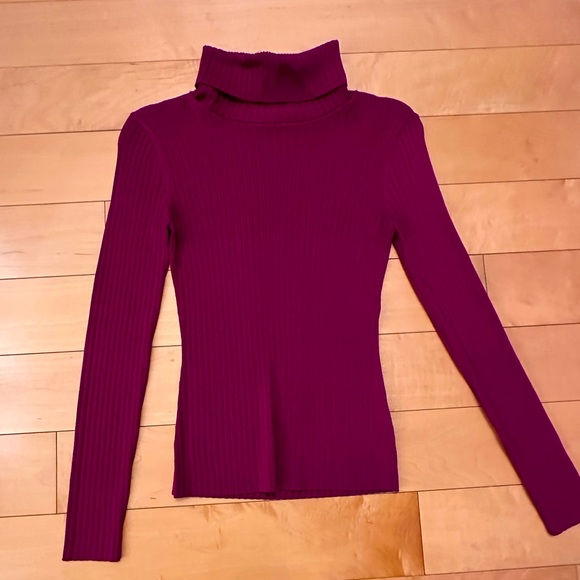 Babaton rib knit turtleneck sweater - Picture 1 of 1